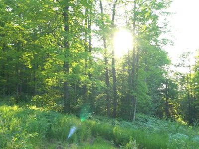 LOT 83 Seven Ashwabay Rd, Bayfield, WI, 54814