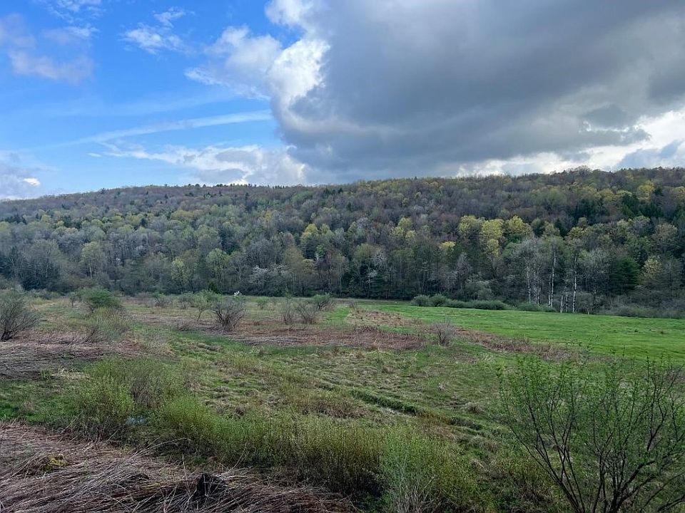 0 Indian Brook Rd, Greene, NY 13778 Zillow