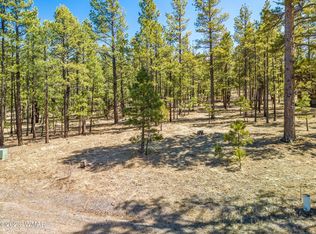 18 County Road 1320, Greer, AZ 85927