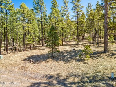 18 County Road 1320, Greer, AZ, 85927
