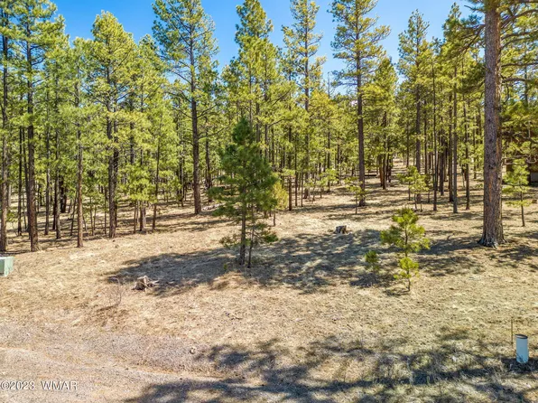 18 County Road 1320, Greer, AZ 85927