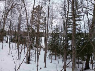 1 Country Line Lake Rd #Co, Watersmeet, MI 49969