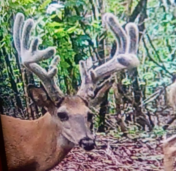 1st image of 789 Hodge Rd