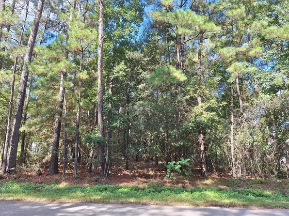 1023 Weisinger Dr, Magnolia, TX 77354