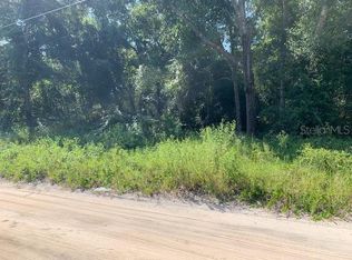 Elm St, Lady lake, FL 32159