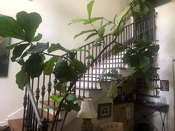 stairs leading to upstairs suite with Br, bath, den and additional bunk room