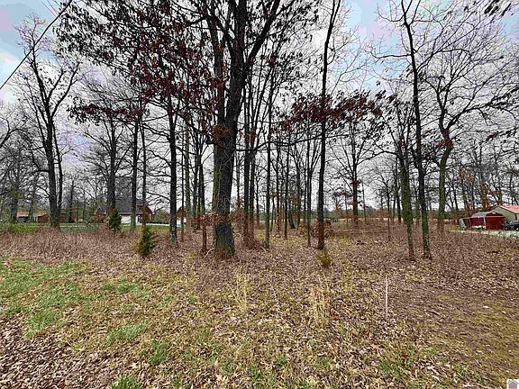 4th image of 0 Bill Butler Rd