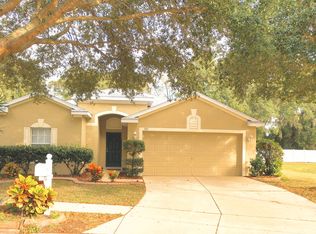 705 Parsons Pointe St, Seffner, FL 33584