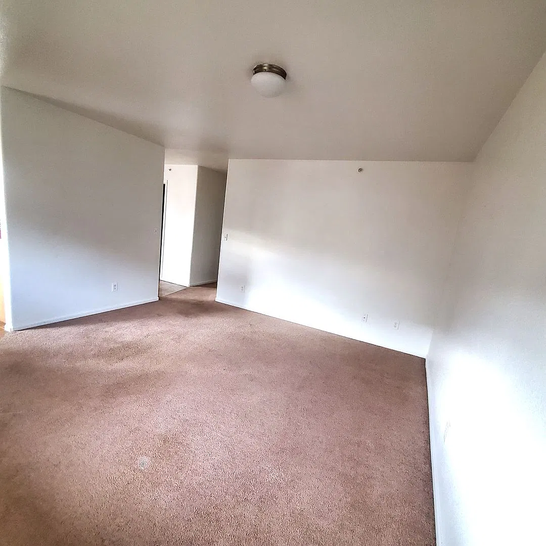 3903 Ariel Ave — Photo 4