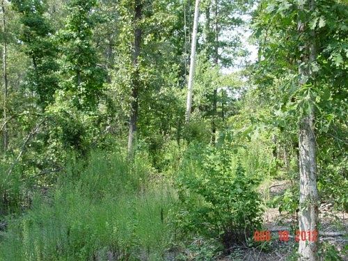 5th image of 11497 County Road 3102