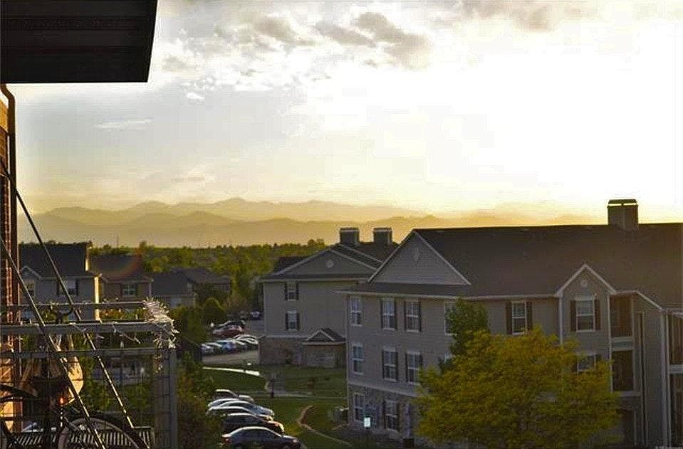 view