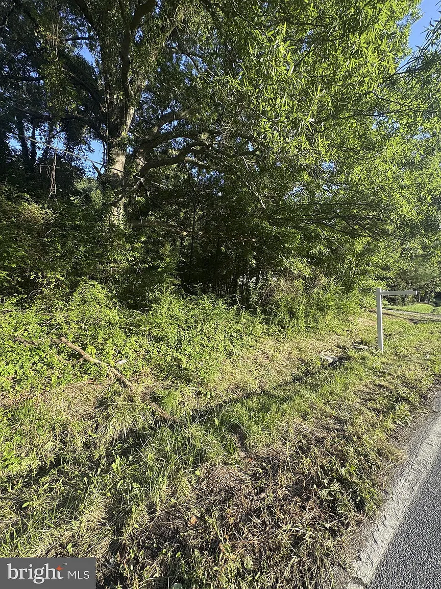 1709 Batts Neck Rd photo 1