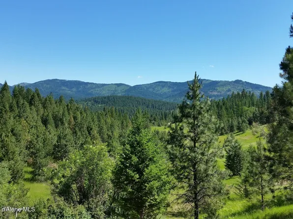 S Starr Rd, Rockford, WA 99030