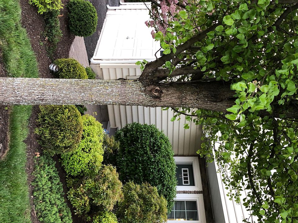 1st image of 58 Hudson View Ter