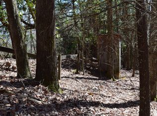 0 Sneyd Rd, Unicoi, TN 37692