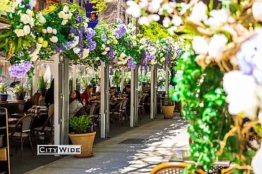 Rented by City Wide Apartments