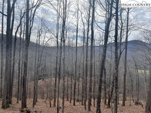 1 Jackson Ridge Road, Boone, NC 28607