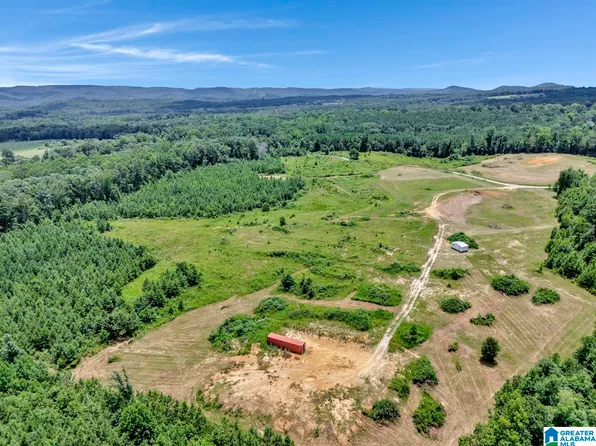 22 Blackberry Ln #22, Remlap, AL 35133