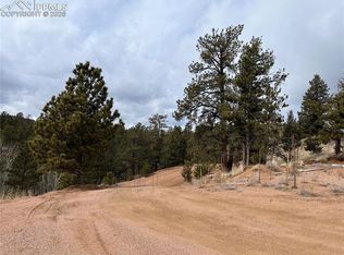 351 Dandy Jim Dr, Cripple Creek, CO 80813