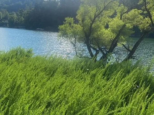 Tbd Sink Valley Rd, Butler, TN 37640