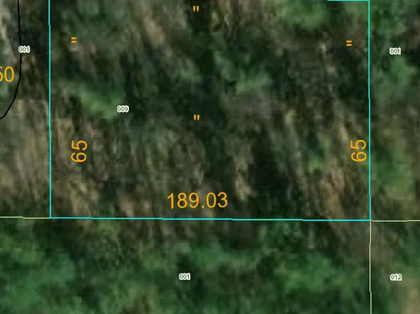 2994 S Fawn Ln, White Cloud, MI 49349