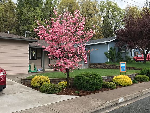 vibrant springtime landscape