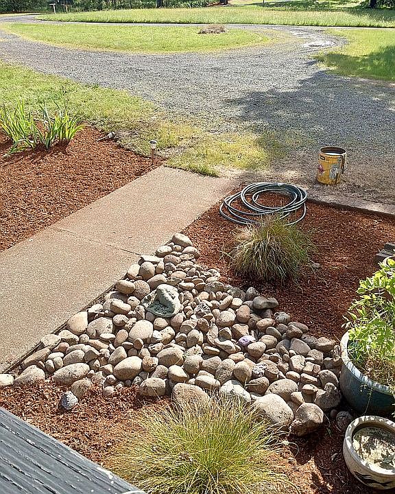 Front yard