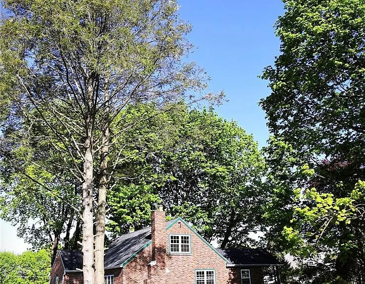 1601 Lieb Rd — Photo 39