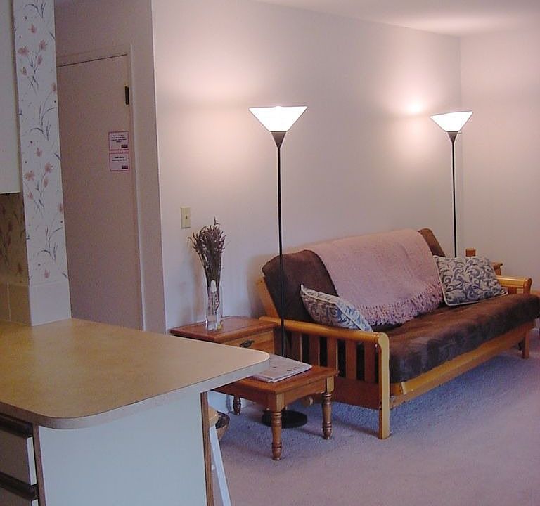 View of Living Room From Dining Room
