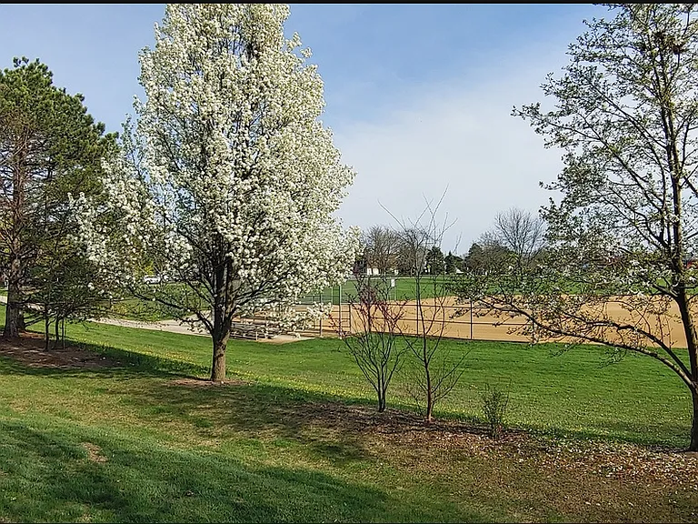 2335 Hamilton Pl — Photo 2