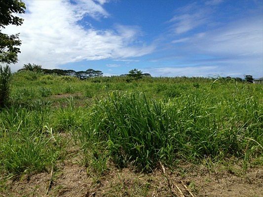 2nd image of Iliopa Rd Lot 4