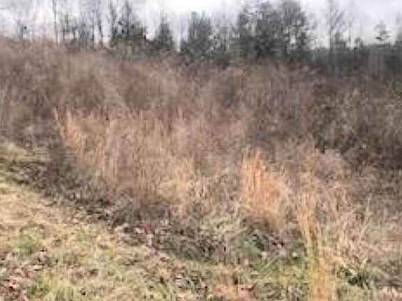 3rd image of Pinnacle Pointe Way