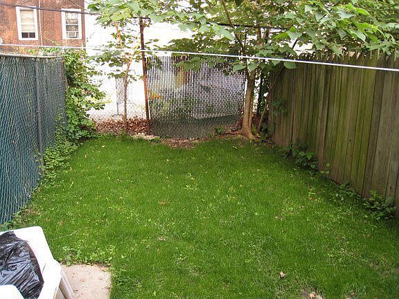 The Back Yard