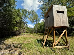 5 Forest Service Rd #562, Pulaski, MS 39152