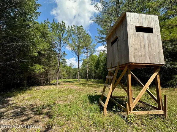 5 Forest Service Rd #562, Pulaski, MS 39152