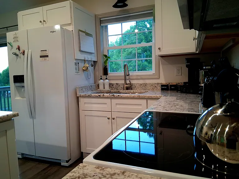 294 Charlie Hicks Rd — Photo 5