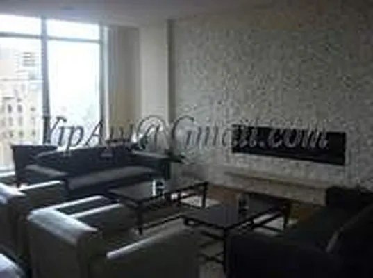 Rented by Metro Realty NY Inc | media 5