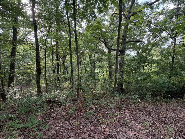 Circle Dr #38, Huntsville, AR 72740