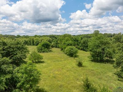 Fm 556, Gilmer, TX, 75644