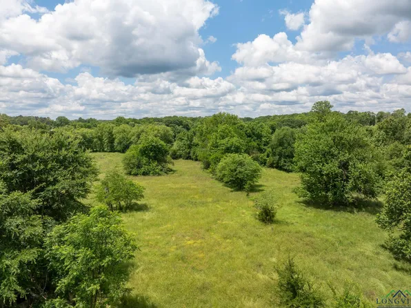 Fm 556, Gilmer, TX 75644