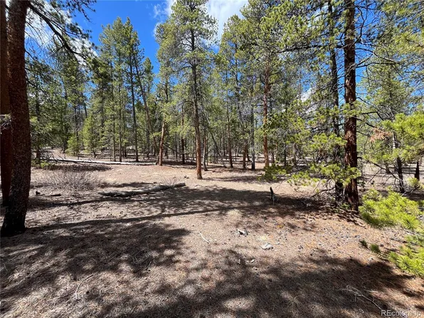 1013 Sequoia Drive, Twin Lakes, CO 81251