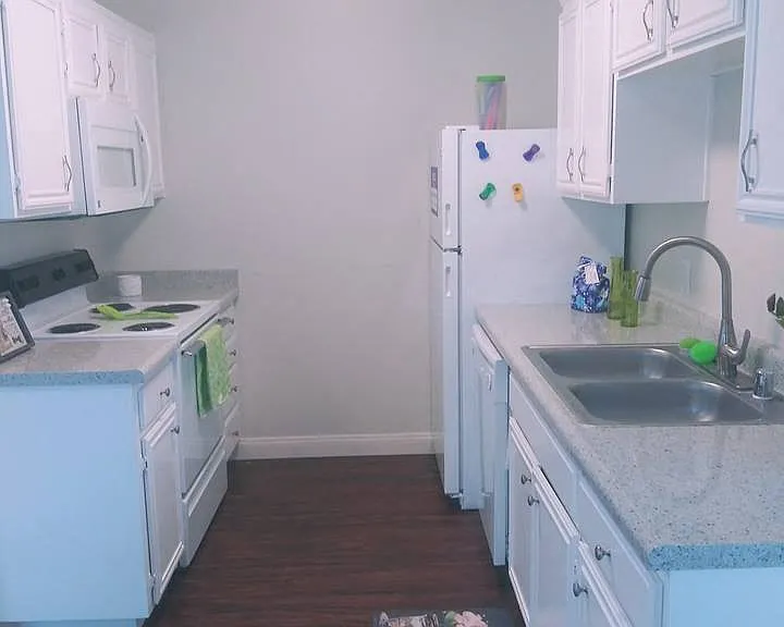 Chateau Spring Gardens Apartments — Photo 49