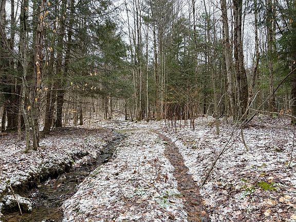 5th image of 154 Walker Rd