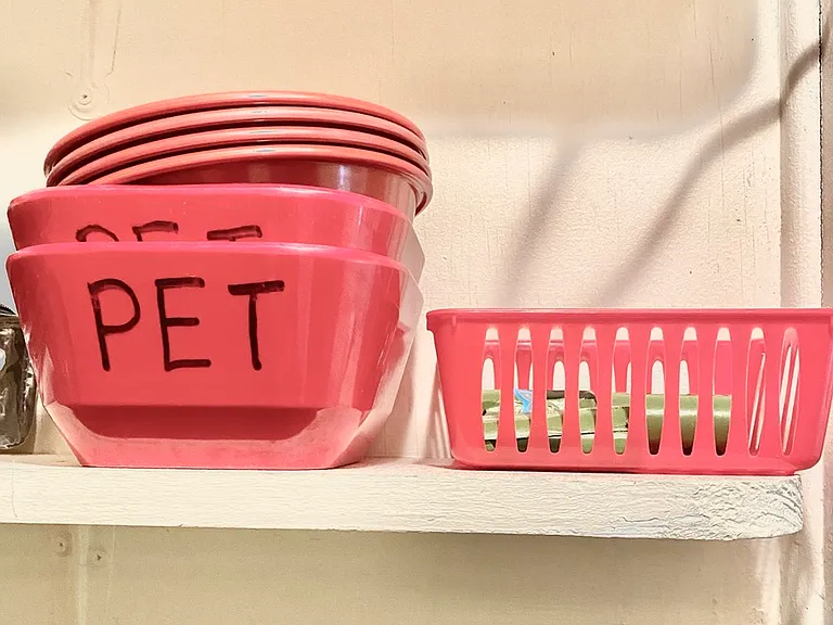 We welcome your dog but not your cat.