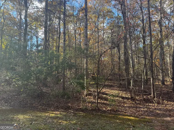 9243 Betony Wood Trl, Jonesboro, GA 30236