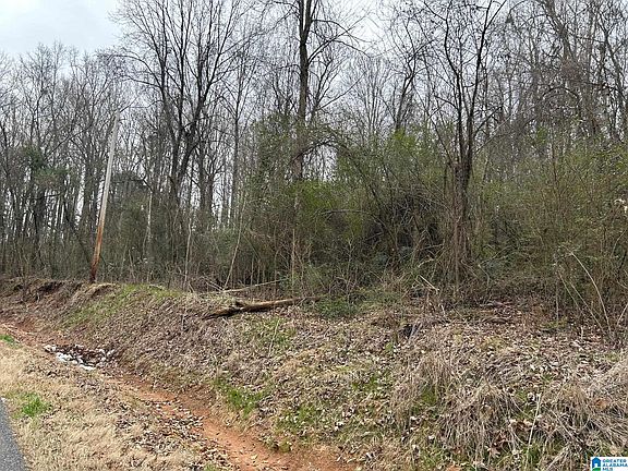 4th image of 0 County Road 31 #14