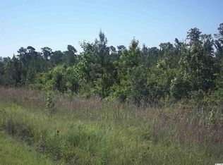 0 Pawley Swamp Rd, Conway, SC 29527