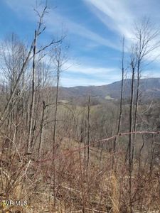 Miller Rd, Trade, TN, 37691