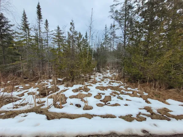 Partridge Ln, Ocqueoc, MI 49759