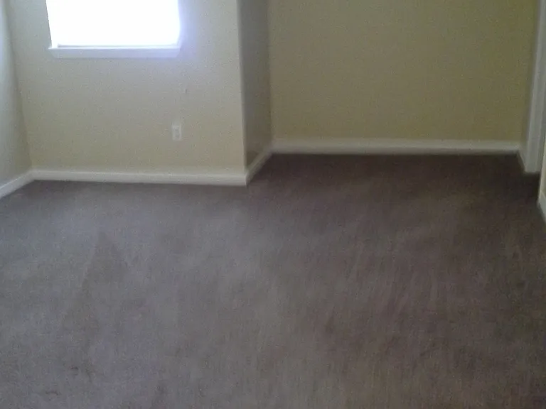 7679 Jana Ln S — Photo 6